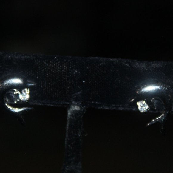 Silver Dolphin earrings with Rhinestone (cute) - Picture 1 of 6